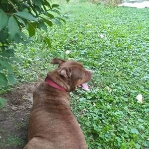 Meet your Posher, Nancy